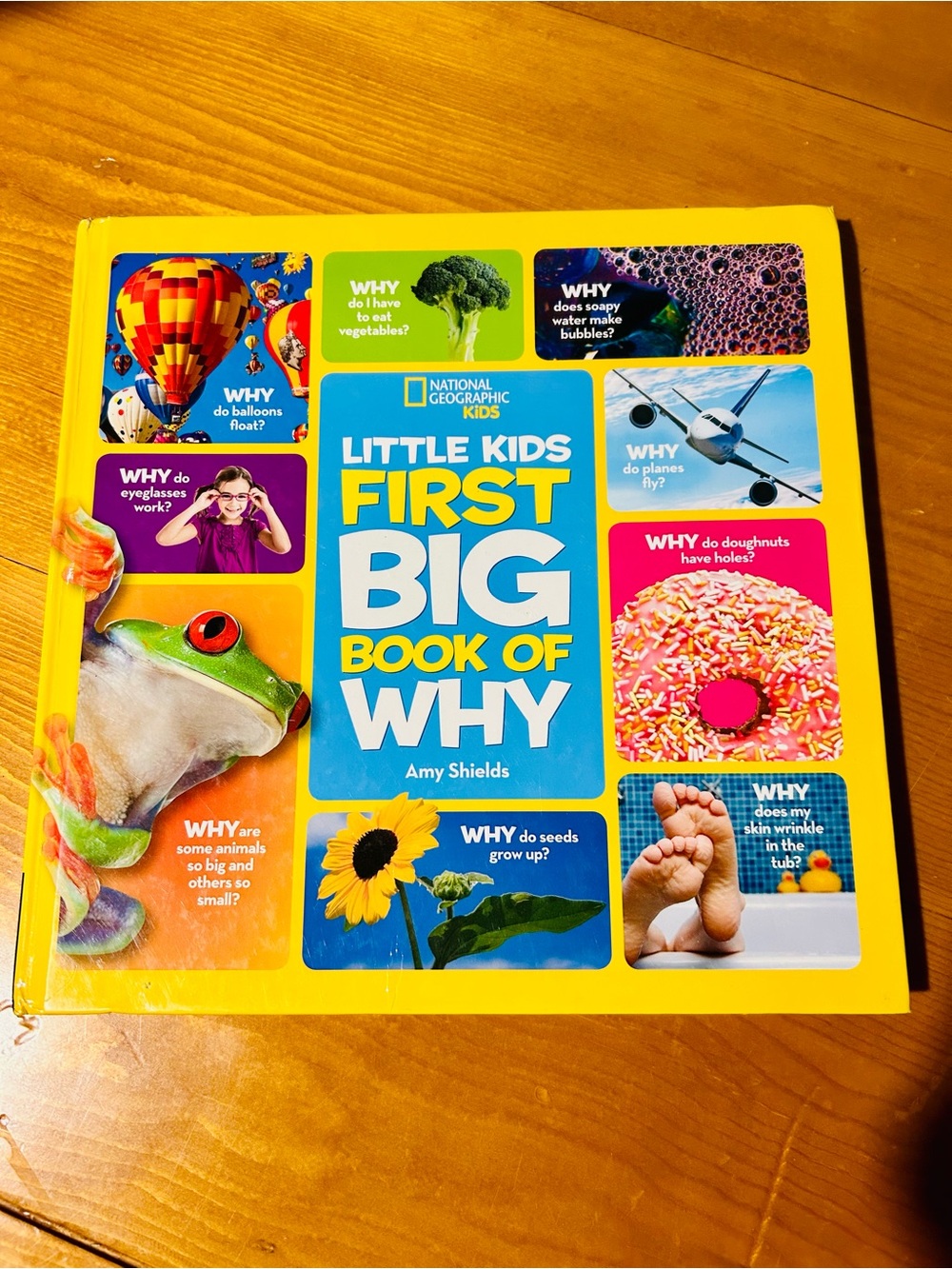 National Geographic Little Kids First Big Book of Why - Bright Yellow Cover